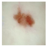 Computation 12 00173 i016