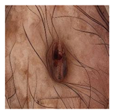 Computation 12 00173 i017