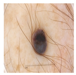 Computation 12 00173 i018