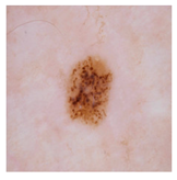 Computation 12 00173 i019