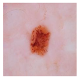 Computation 12 00173 i020