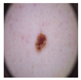 Computation 12 00173 i021