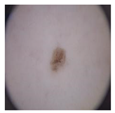 Computation 12 00173 i022