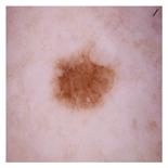 Computation 12 00173 i023