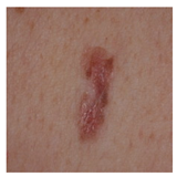 Computation 12 00173 i025