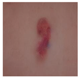 Computation 12 00173 i026