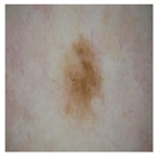 Computation 12 00173 i027