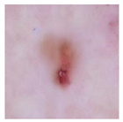 Computation 12 00173 i028