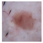 Computation 12 00173 i029