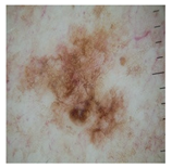 Computation 12 00173 i030