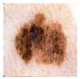 Computation 12 00173 i031