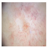 Computation 12 00173 i032