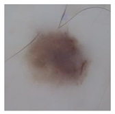 Computation 12 00173 i033