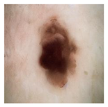 Computation 12 00173 i035