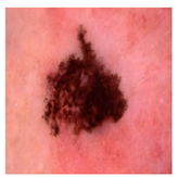 Computation 12 00173 i036