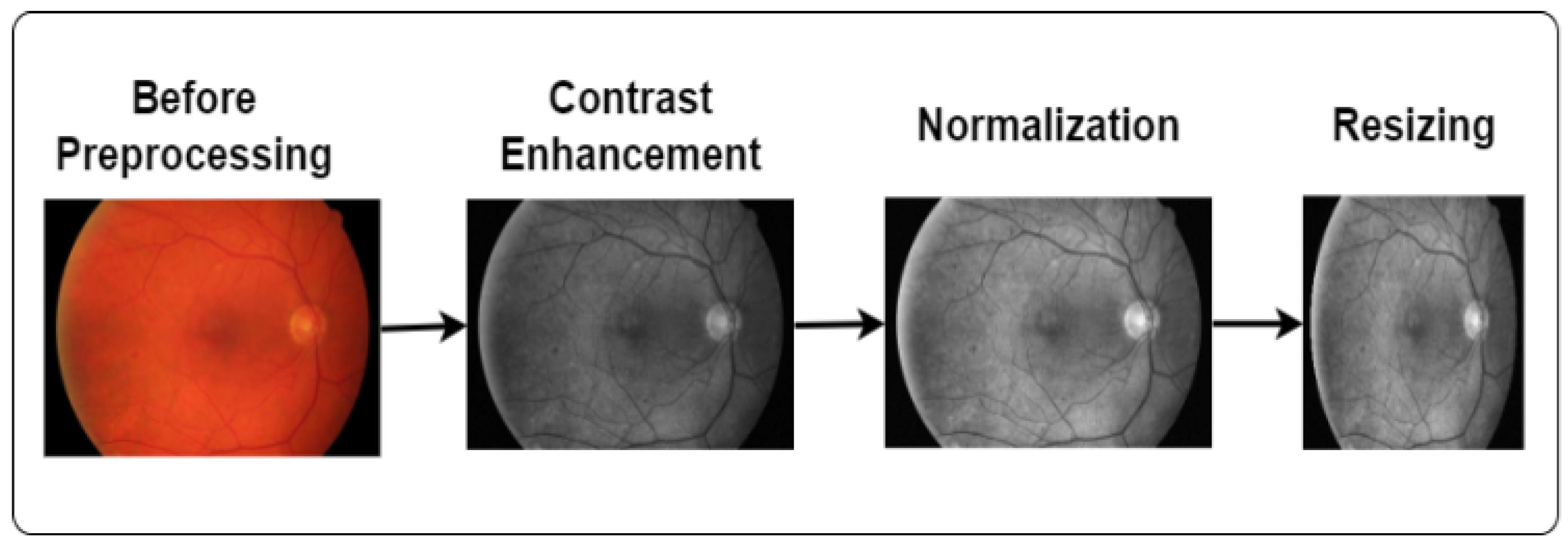 Computation 12 00190 g002