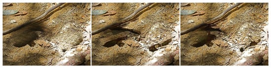 Computation 12 00228 g0a2