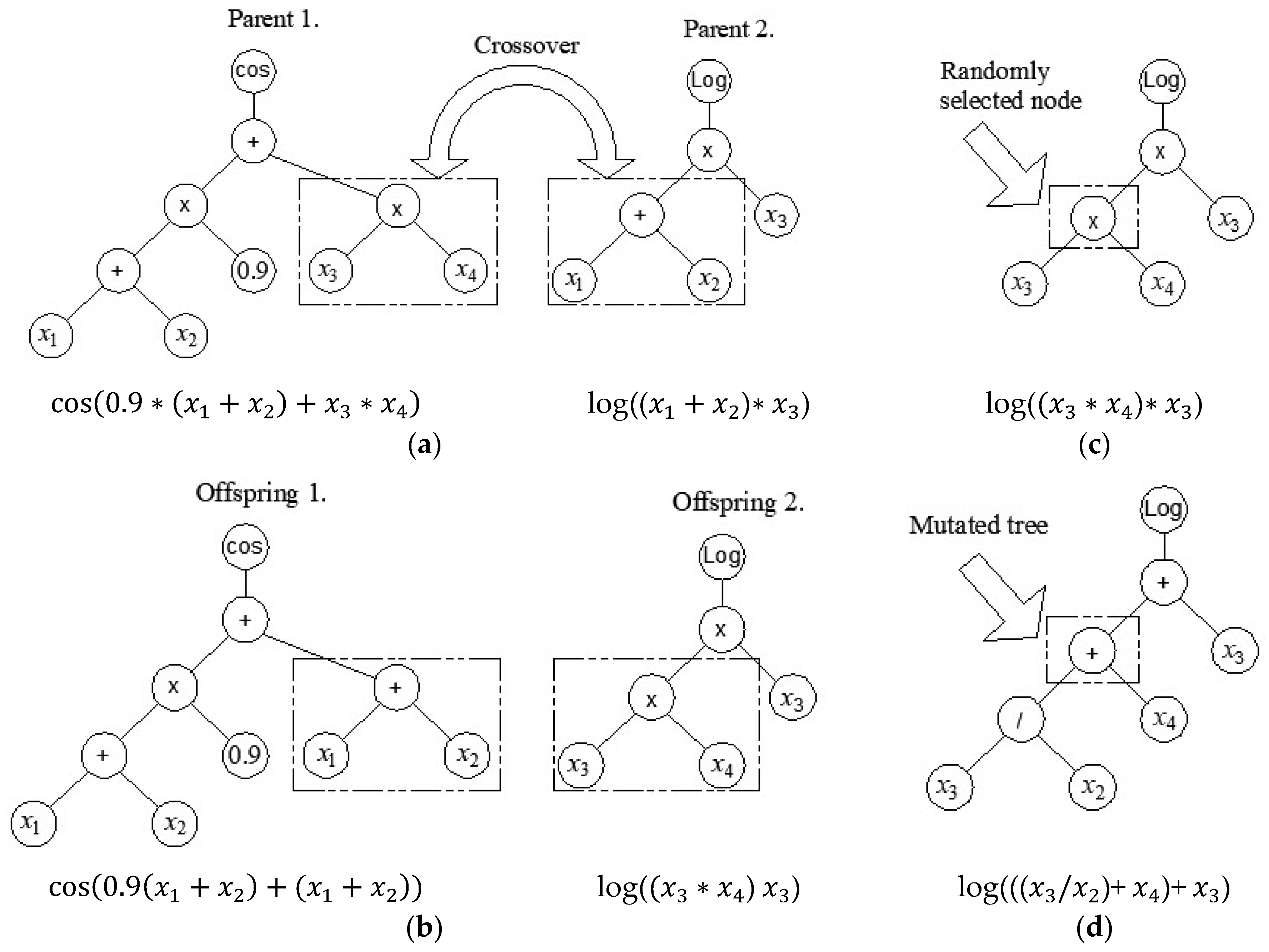 Computation 13 00017 g002