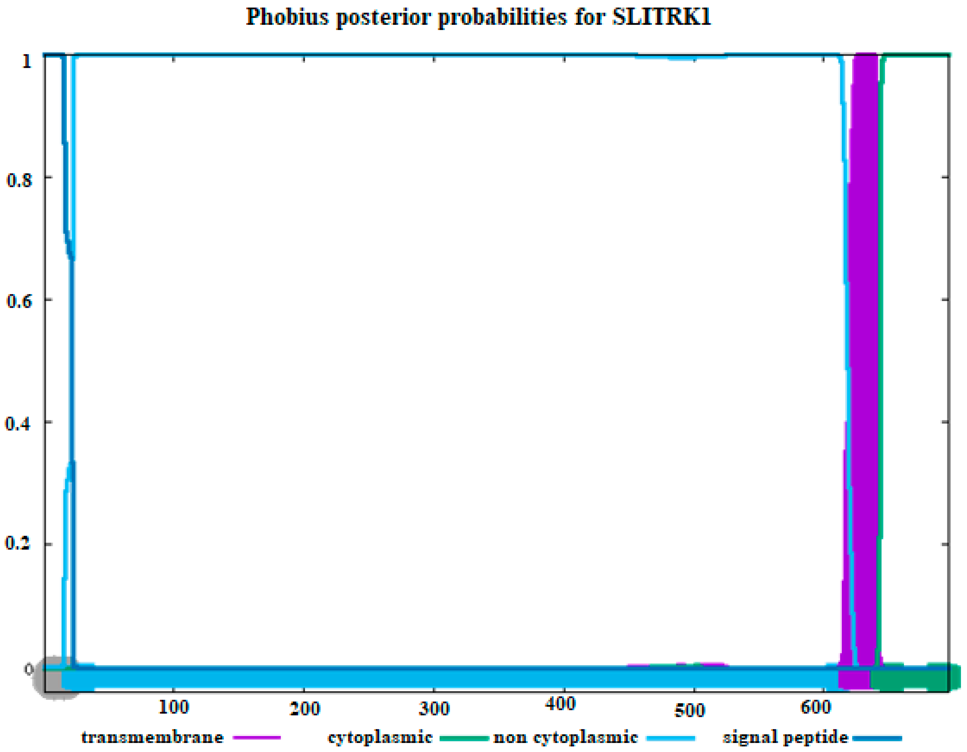 Computation 13 00029 g004