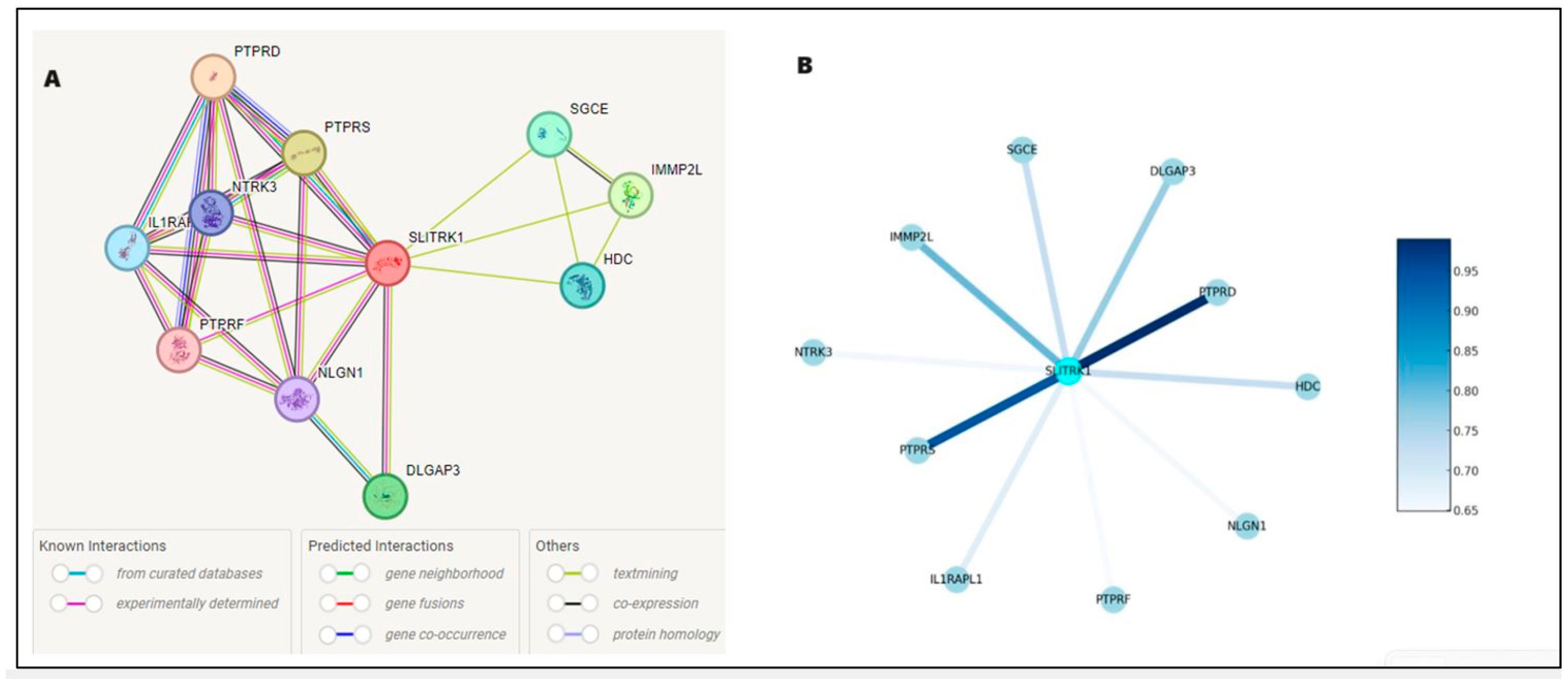 Computation 13 00029 g005