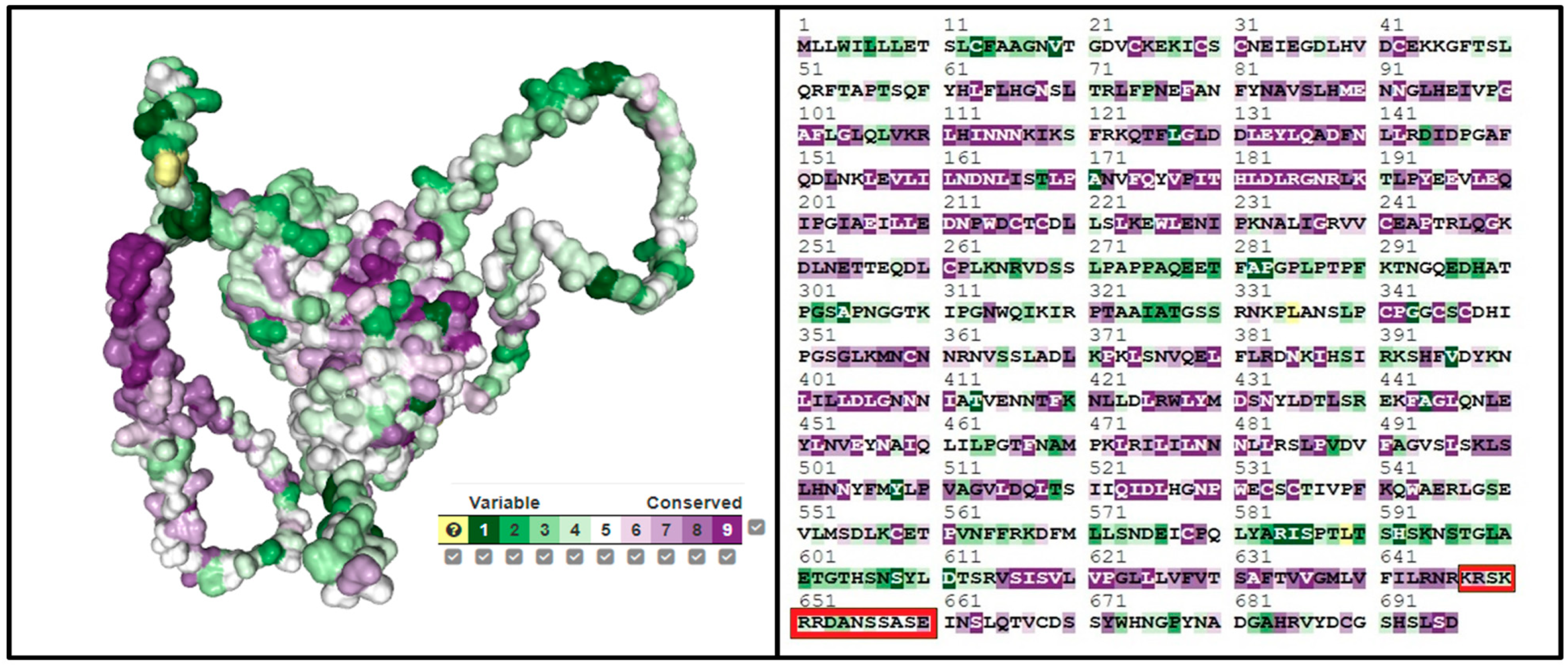 Computation 13 00029 g006