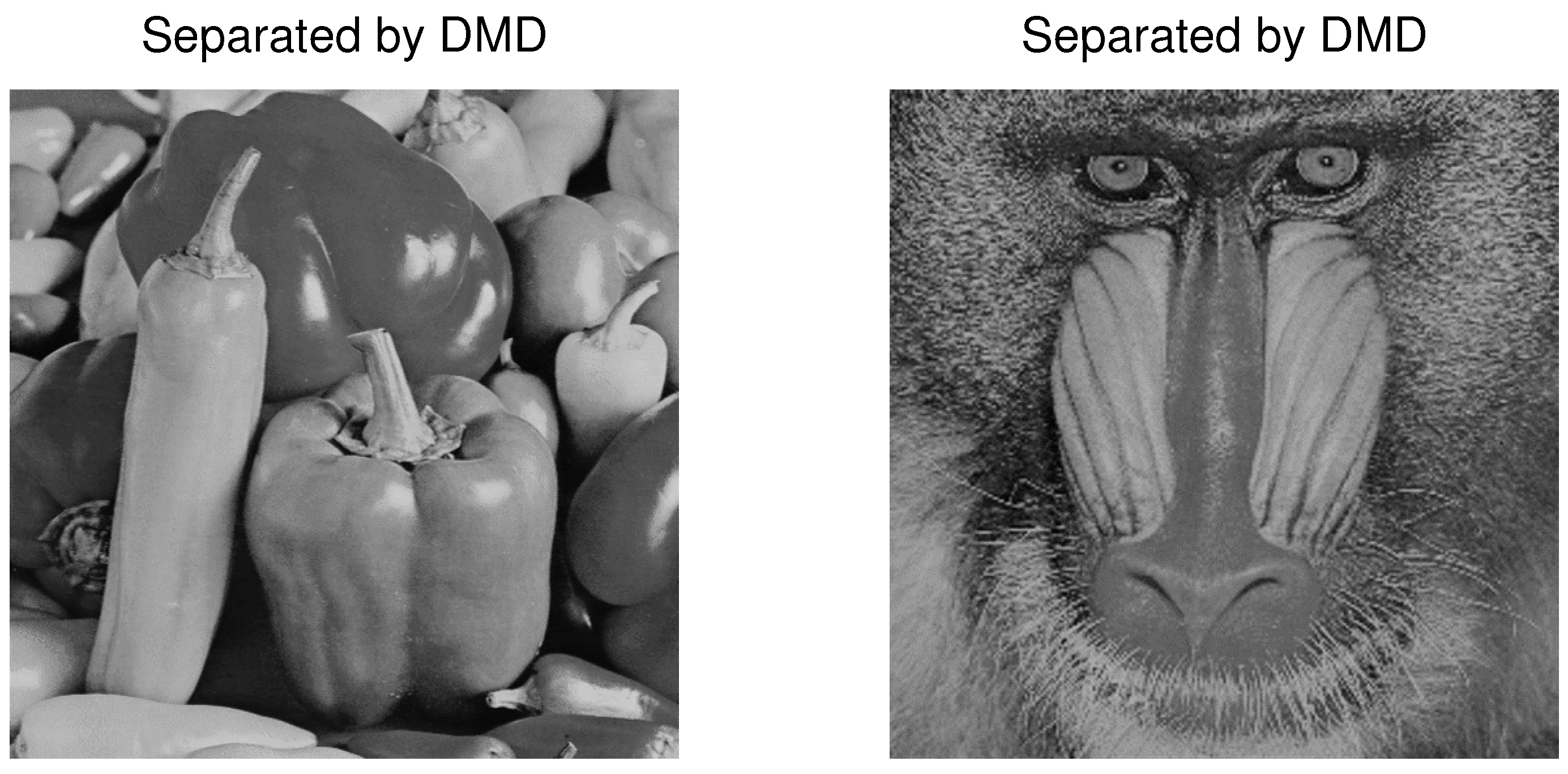 Computation 13 00031 g010