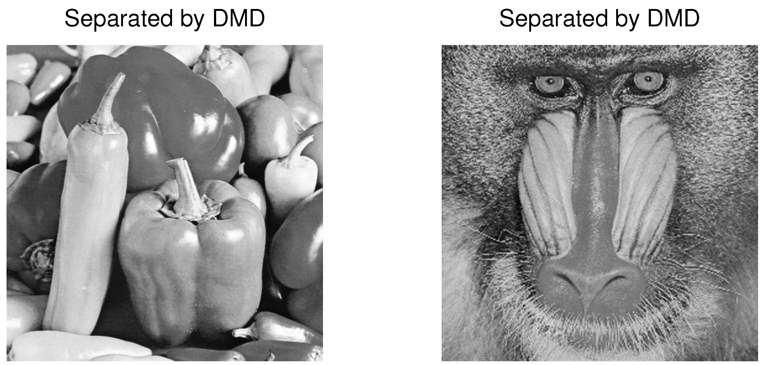 Computation 13 00031 g013