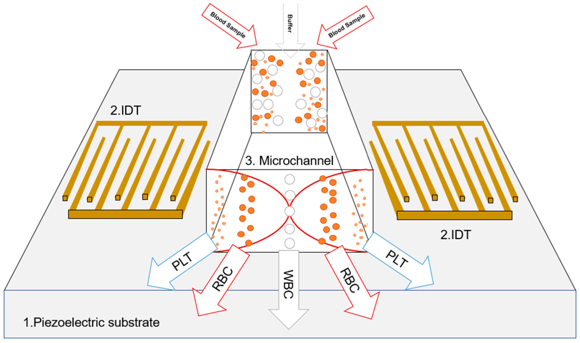 Computation 13 00042 g001
