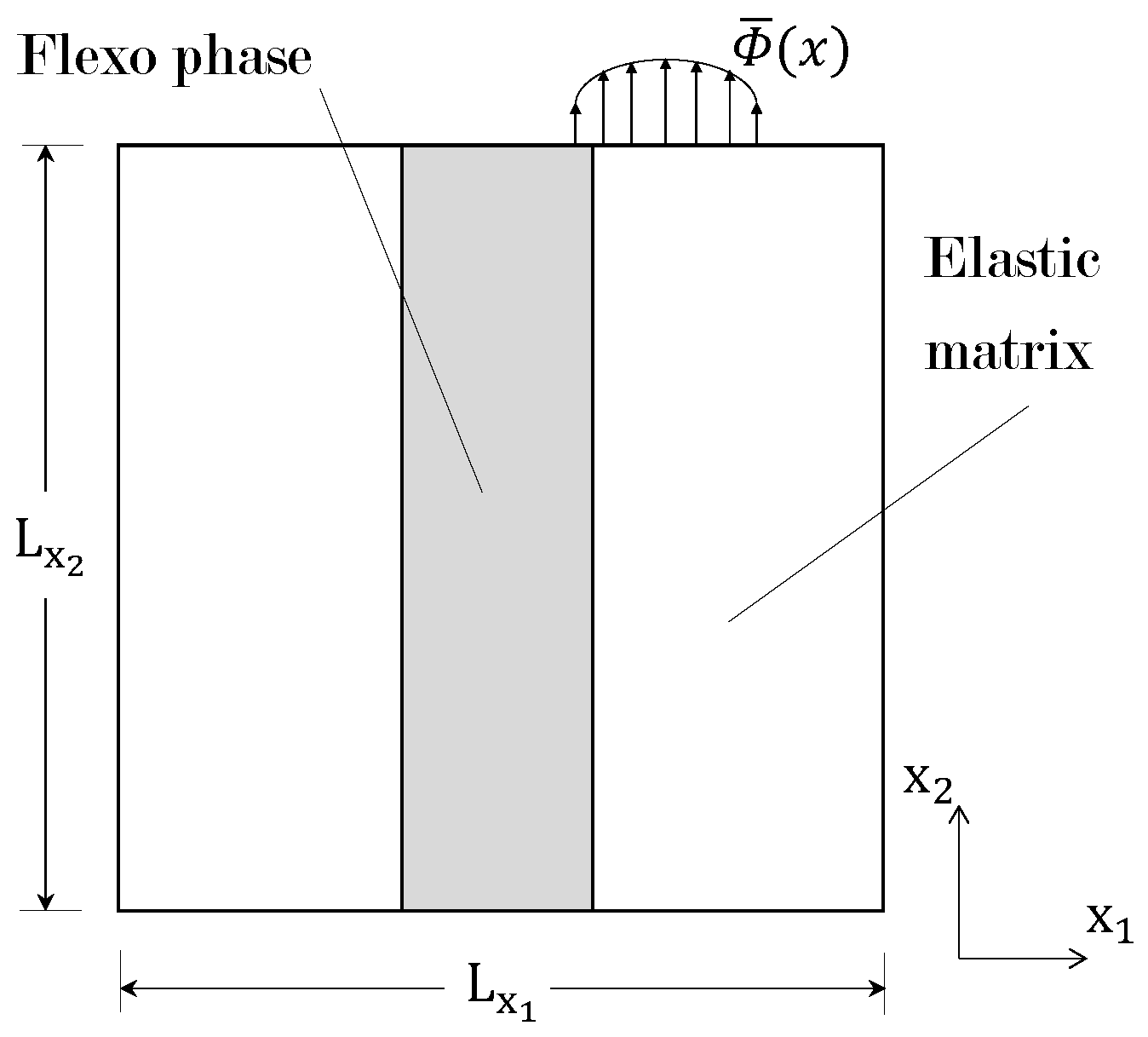 Computation 13 00048 g001