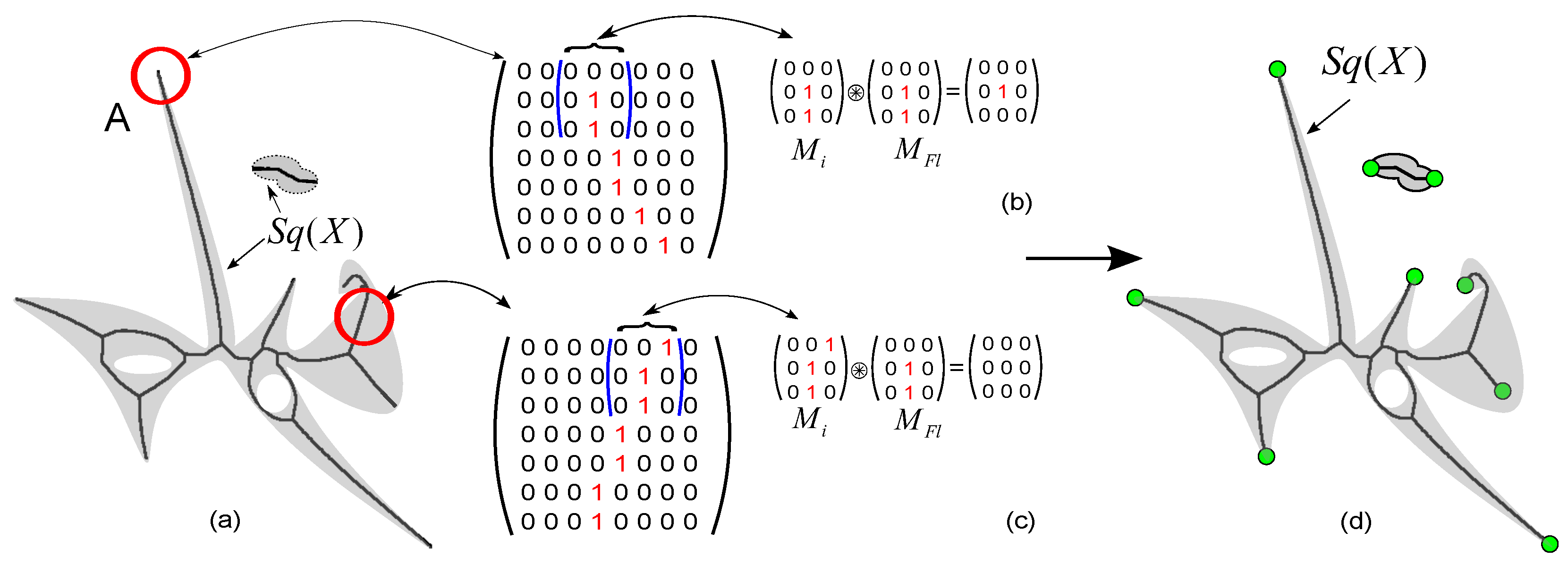 Computation 13 00052 g007 Computation 13 00052 g007