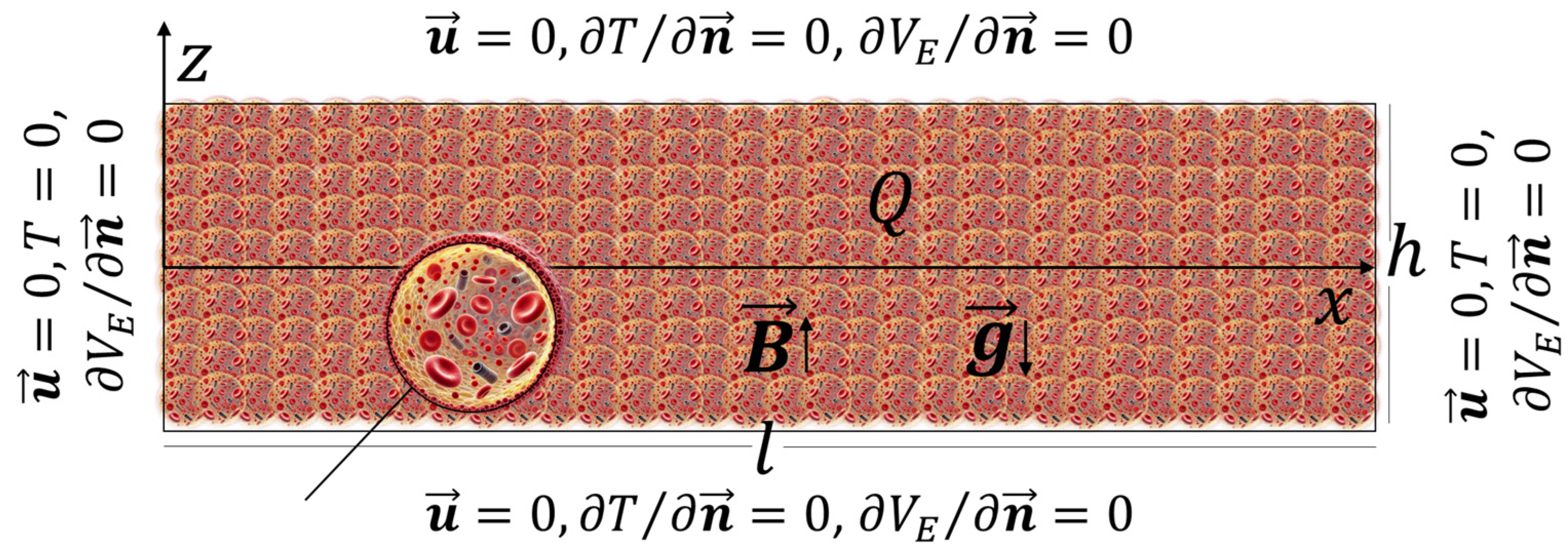 Computation 13 00062 g001