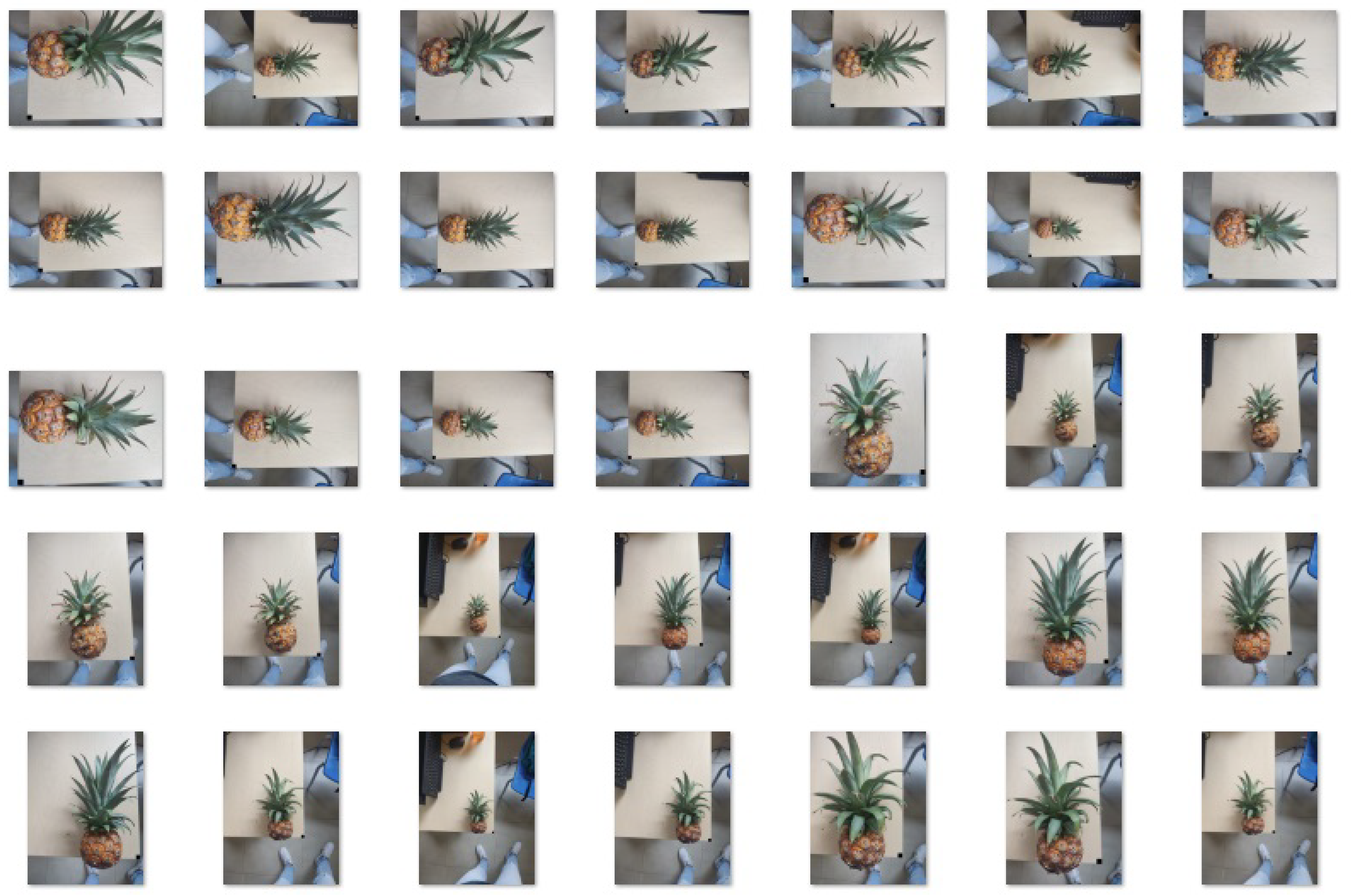 Computation 13 00069 g005