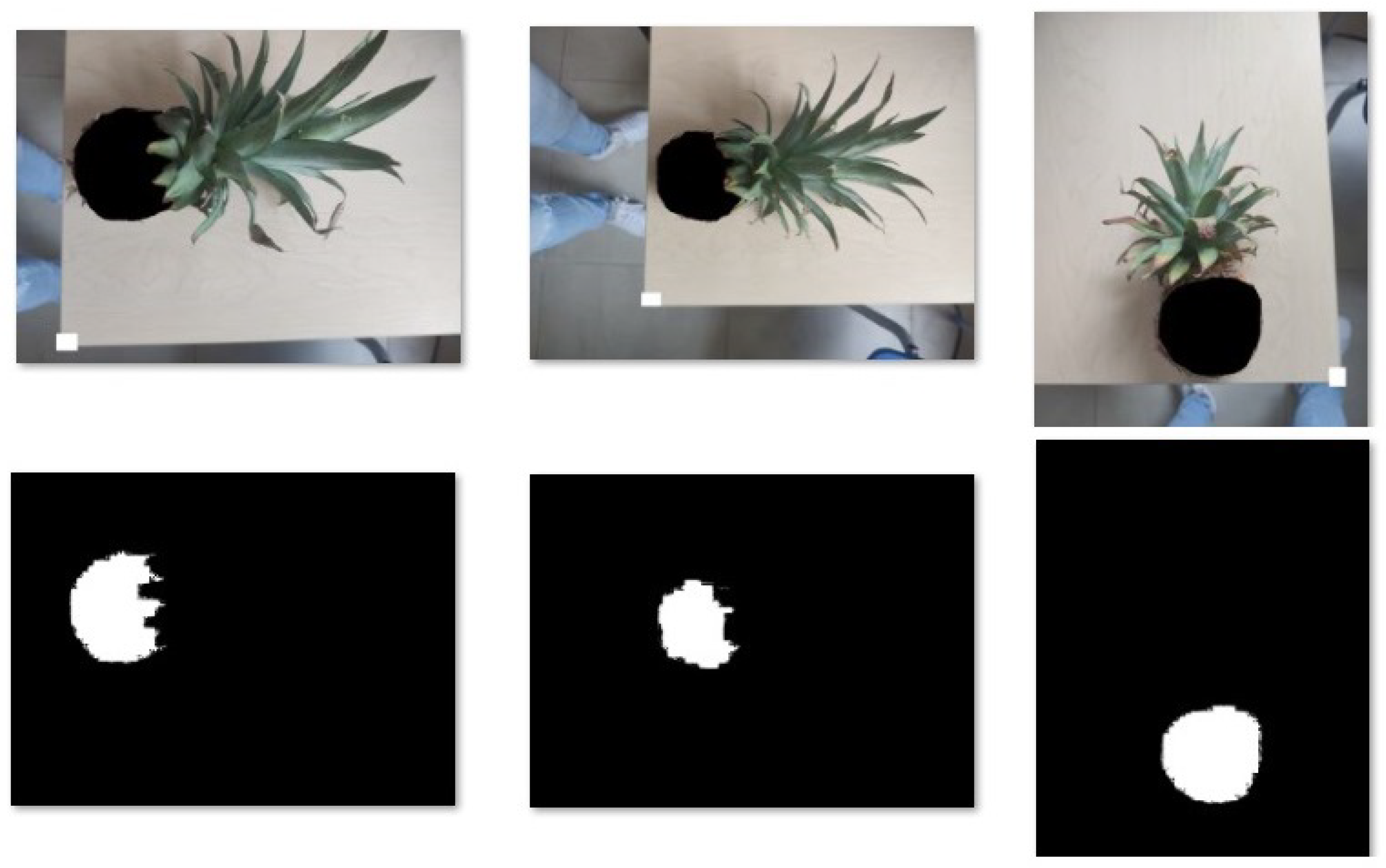 Computation 13 00069 g006