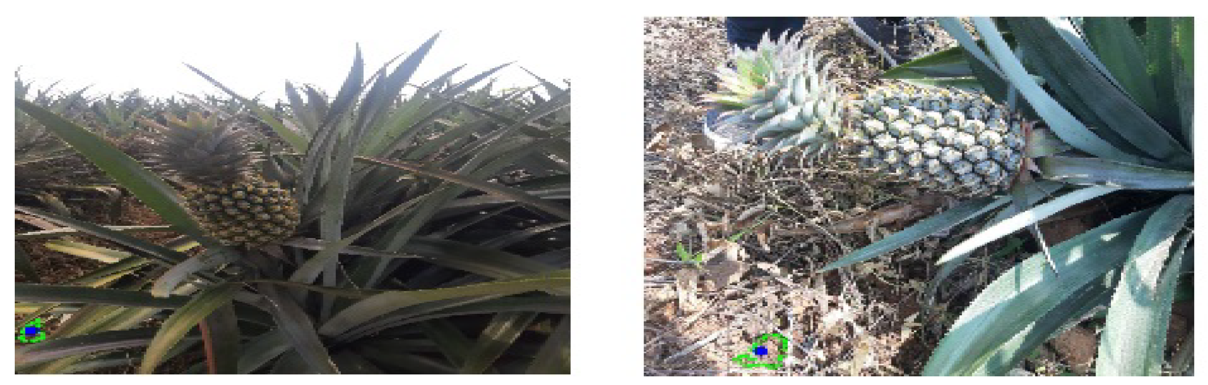 Computation 13 00069 g010