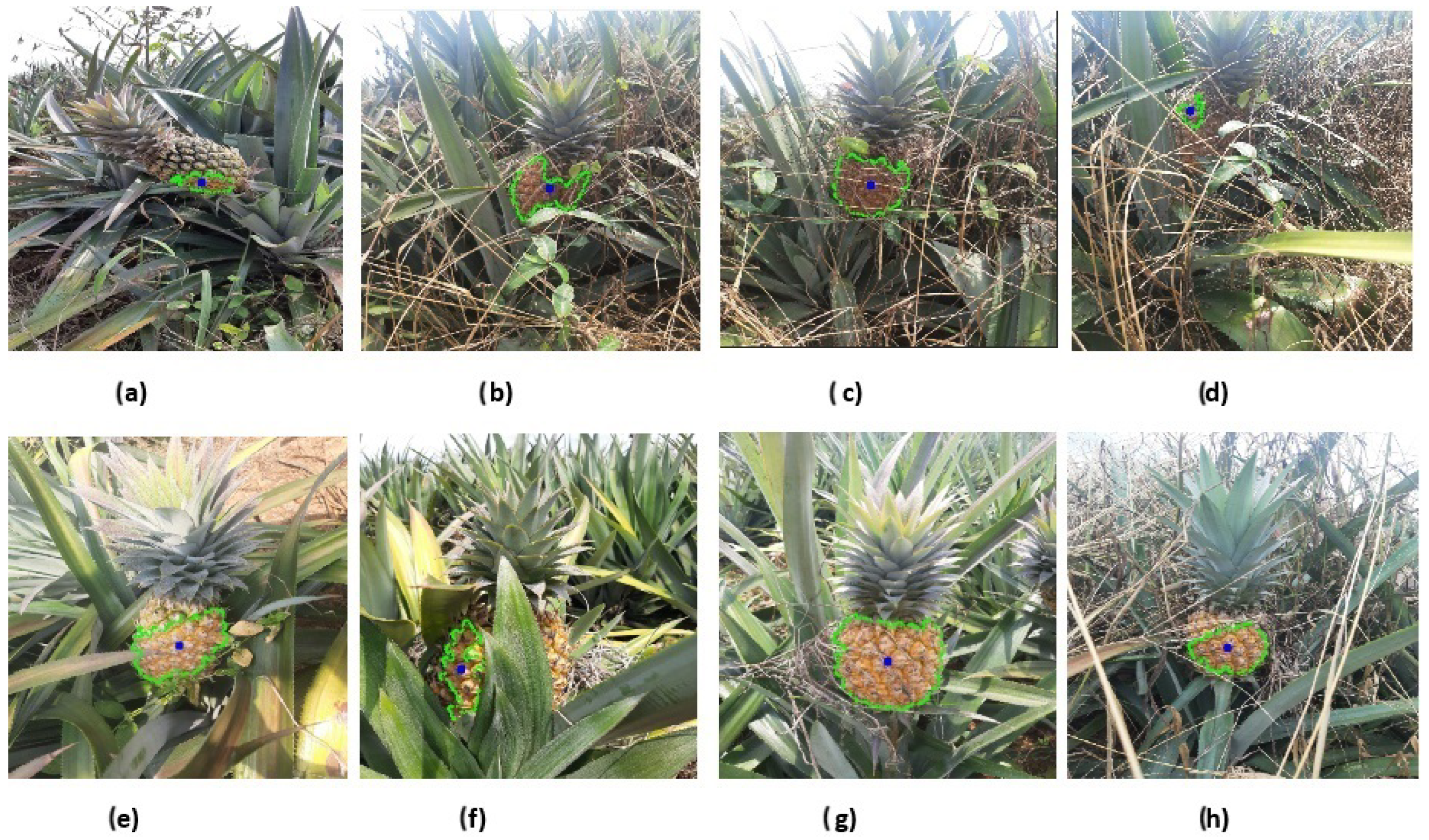 Computation 13 00069 g011