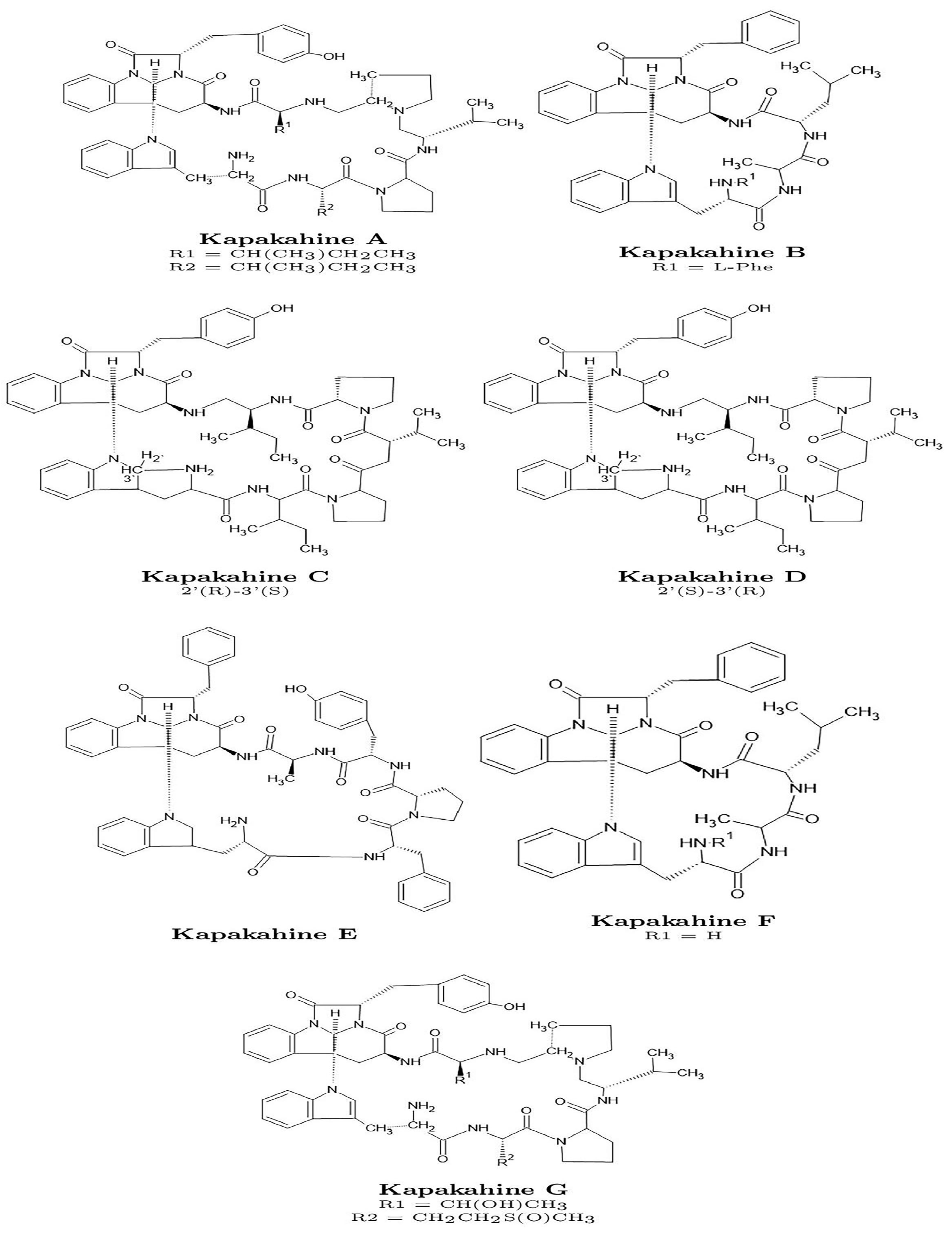 Computation 13 00111 g001