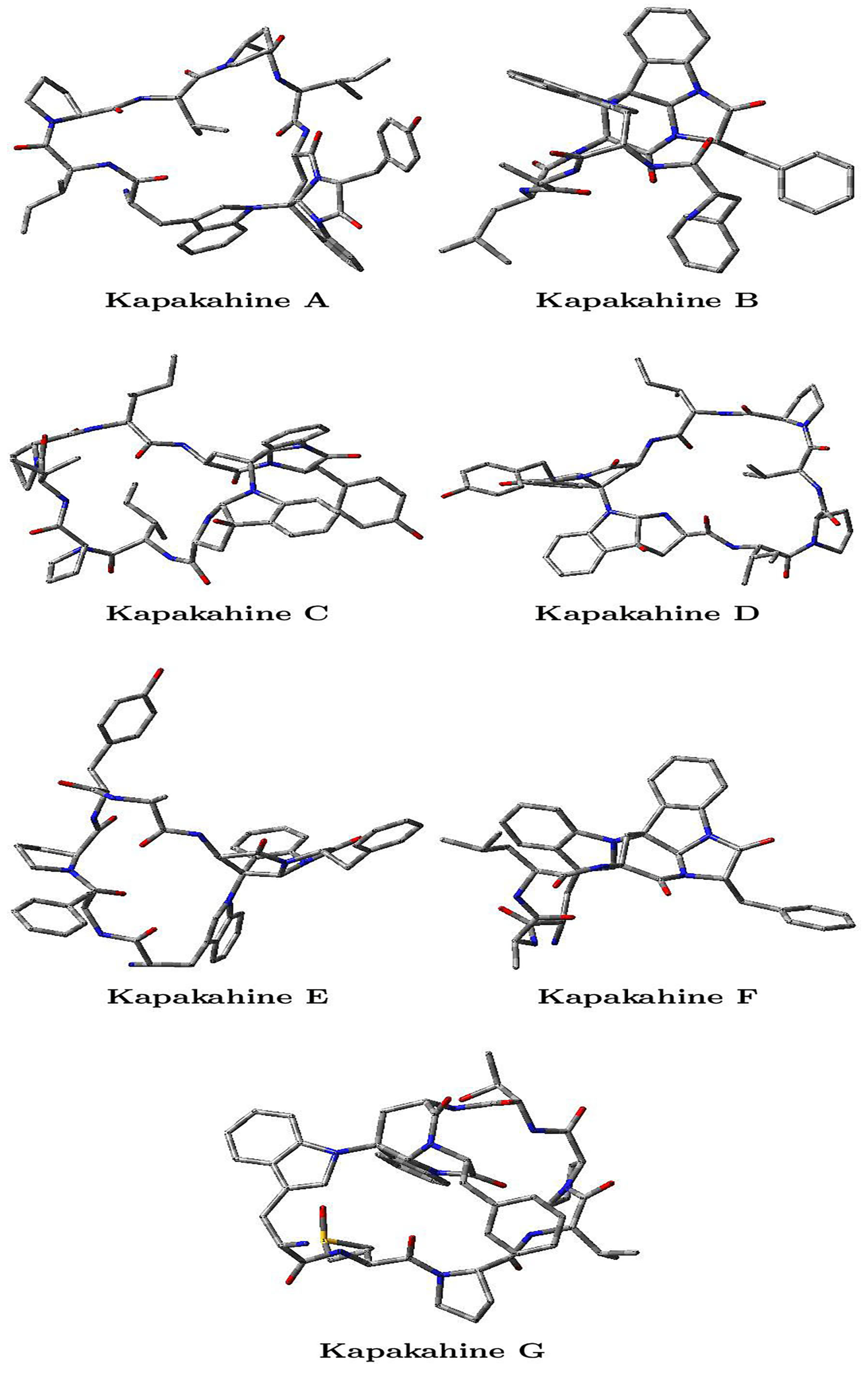 Computation 13 00111 g002