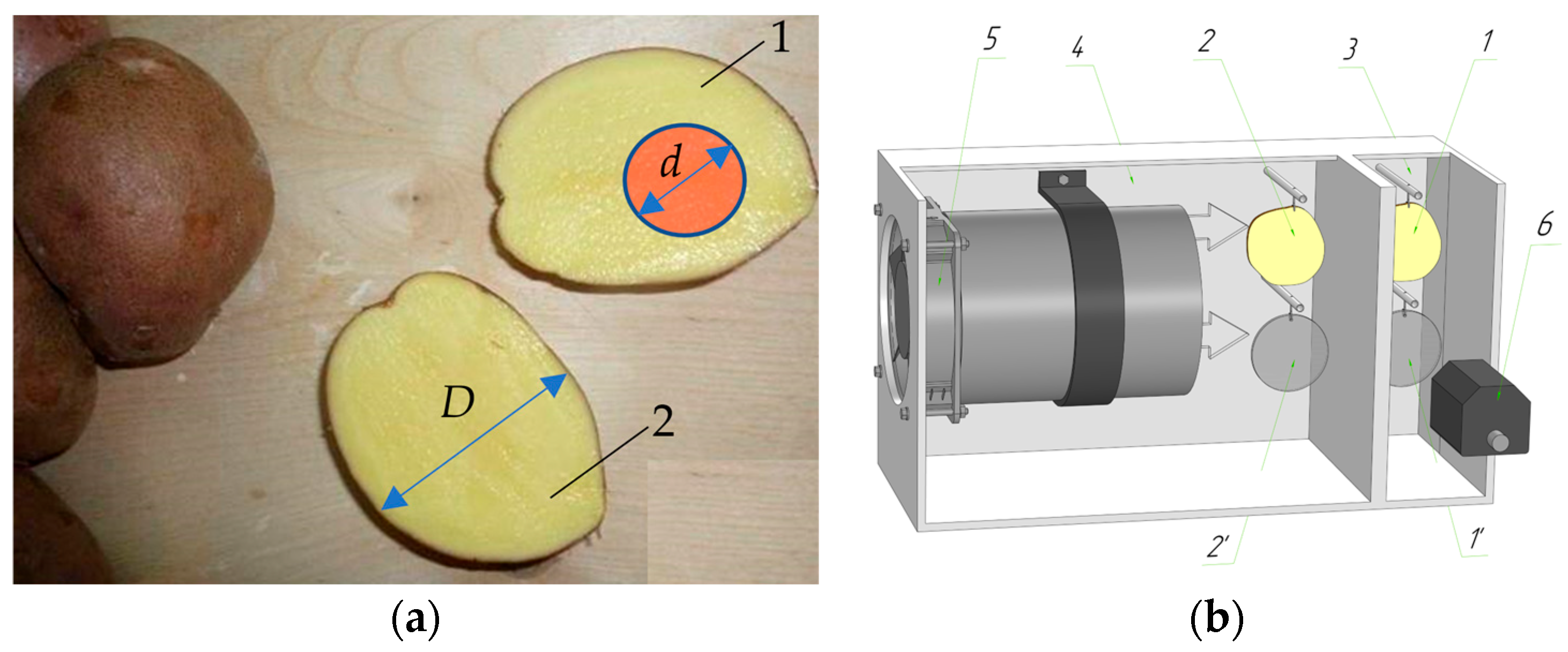 Computation 13 00117 g001