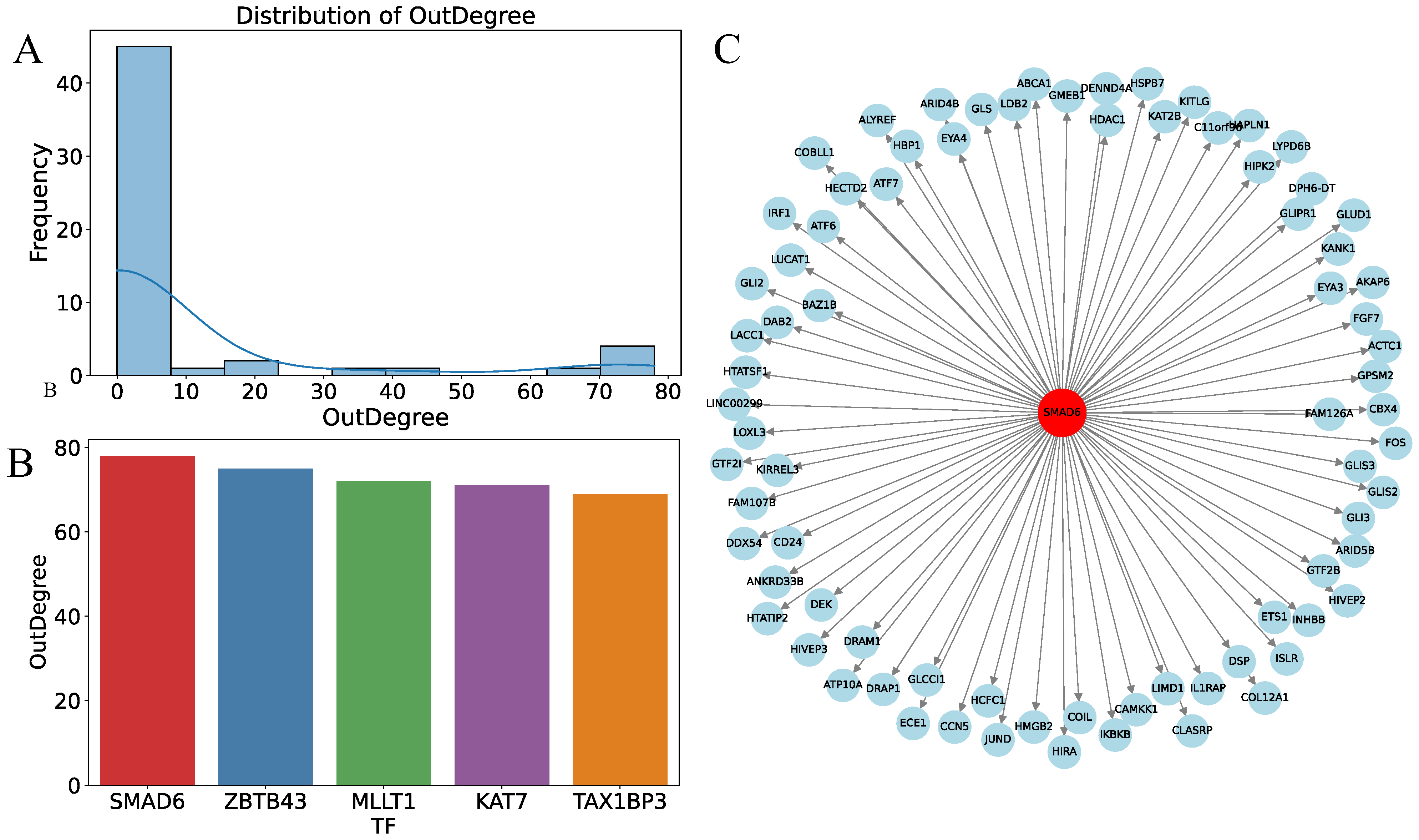 Computation 13 00124 g006