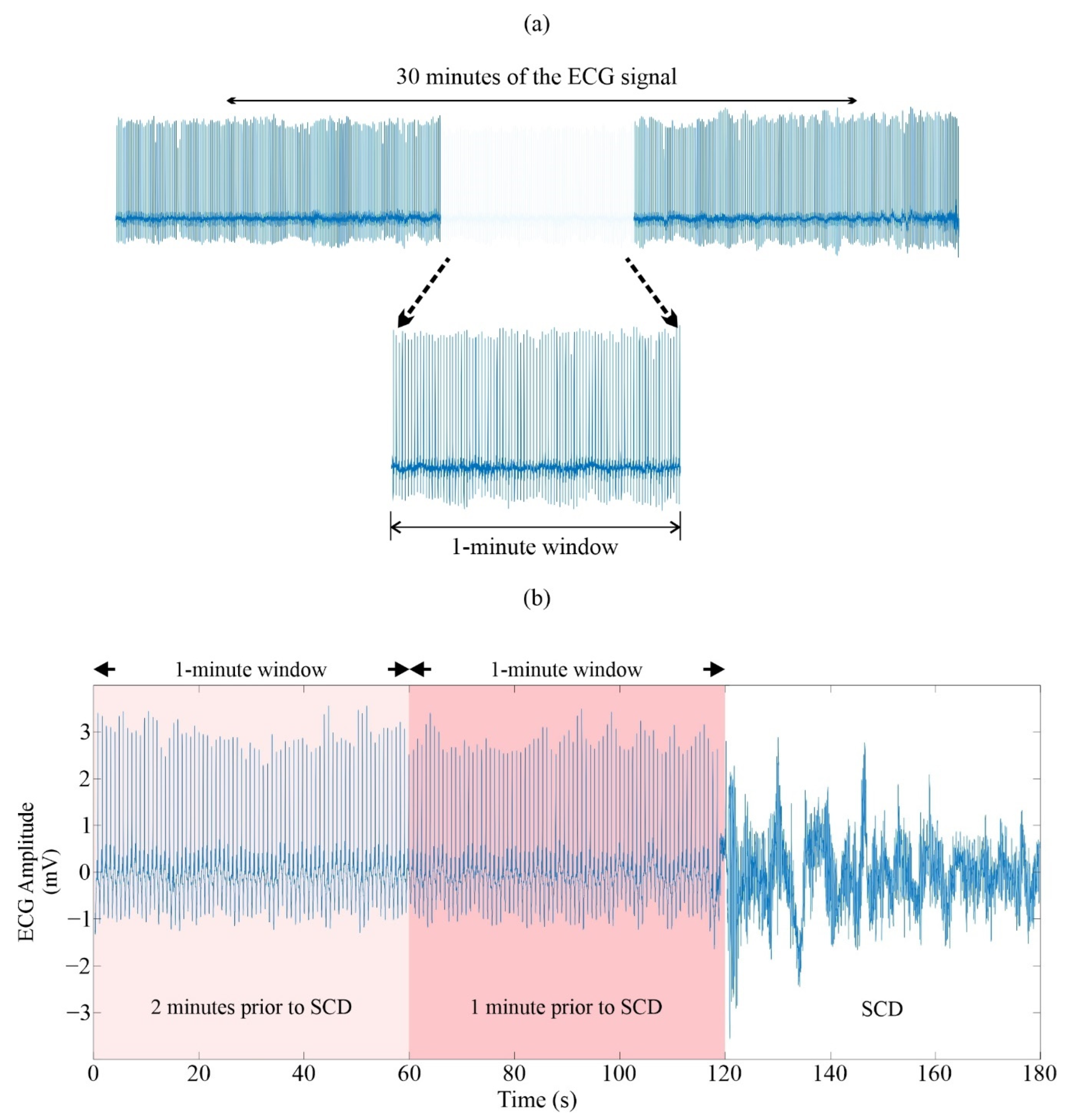 Computation 13 00130 g001