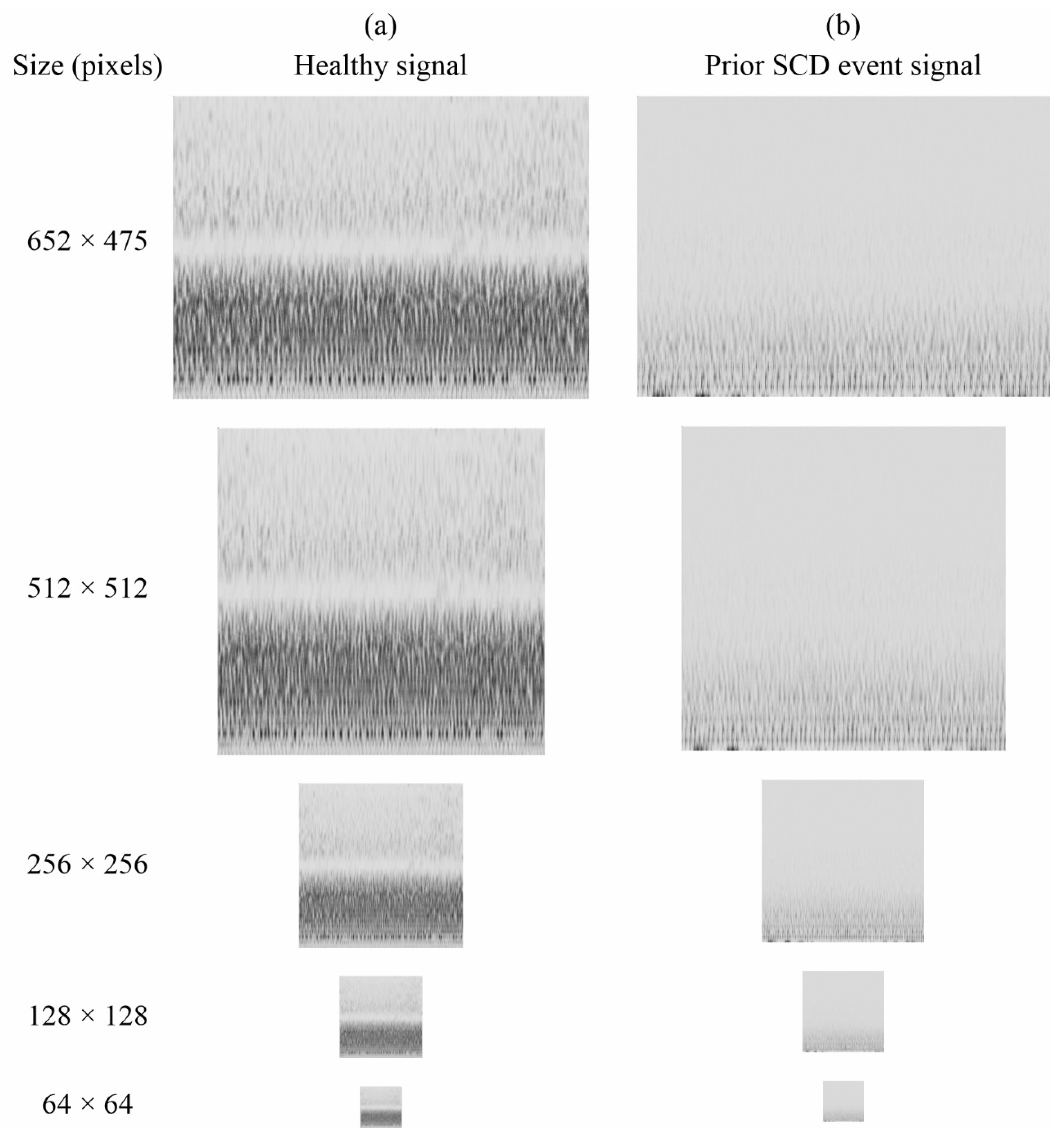 Computation 13 00130 g010