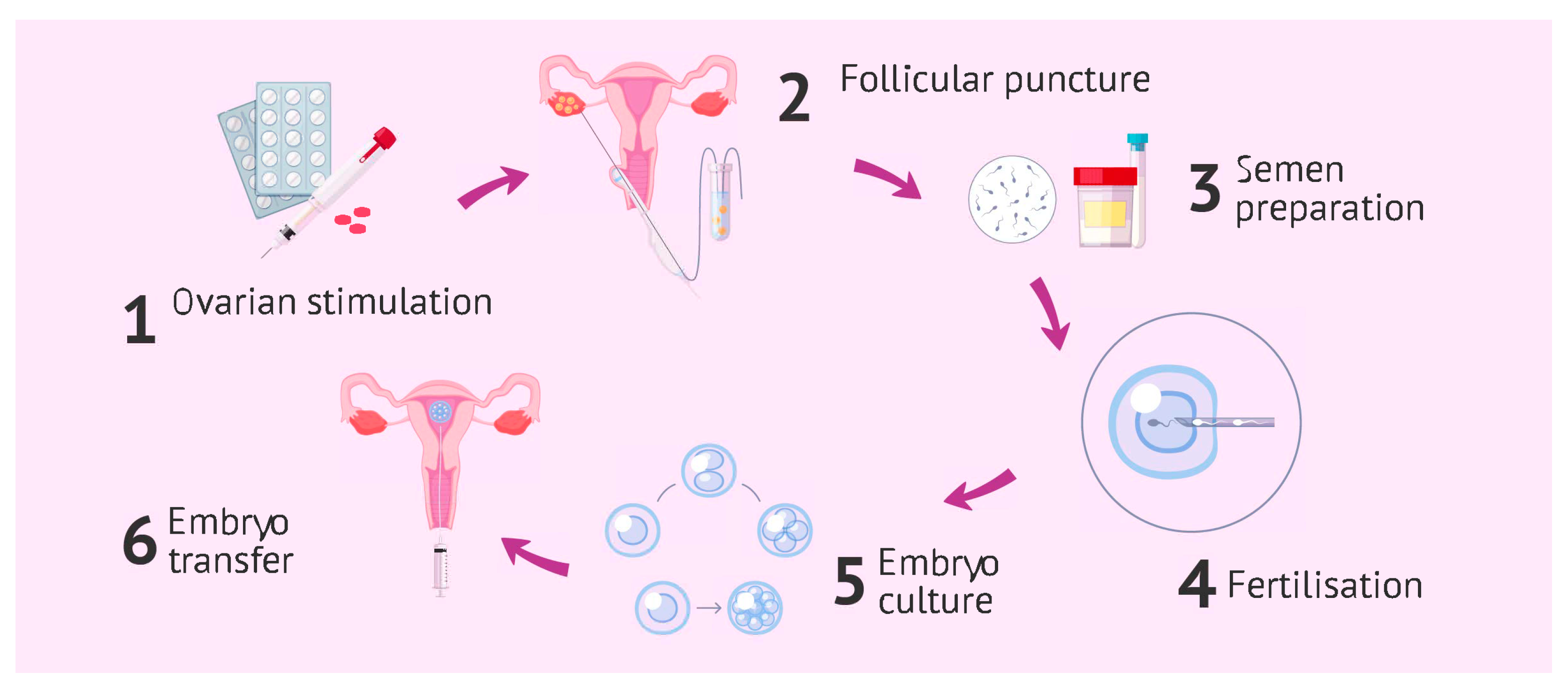 Computation 13 00132 g001