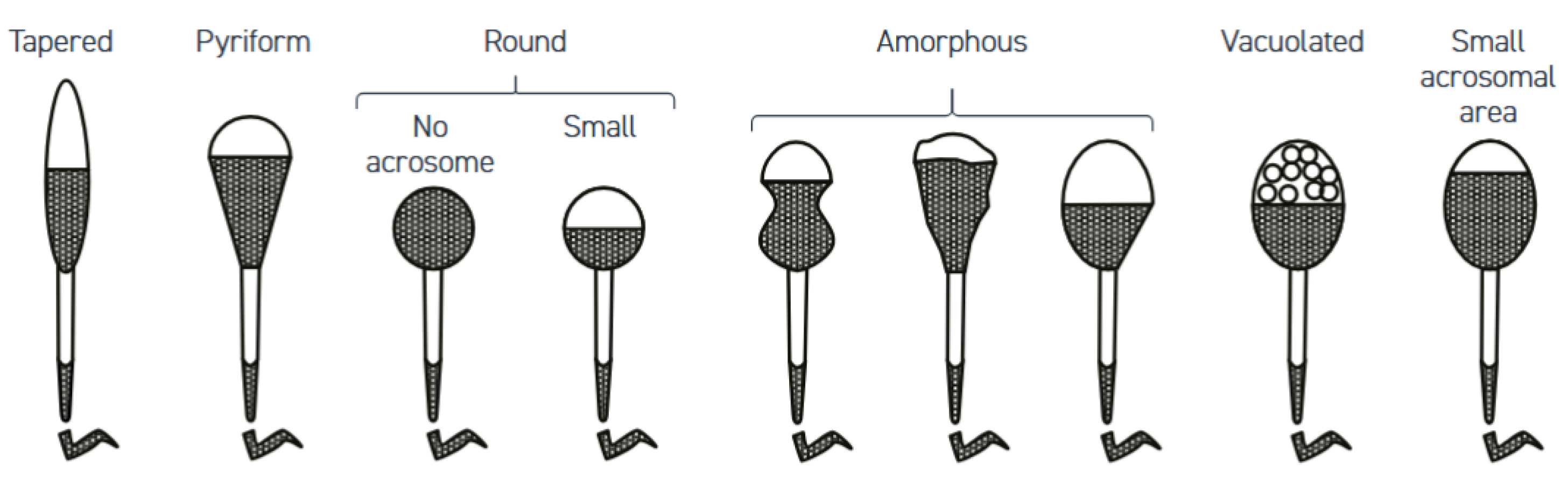 Computation 13 00132 g003