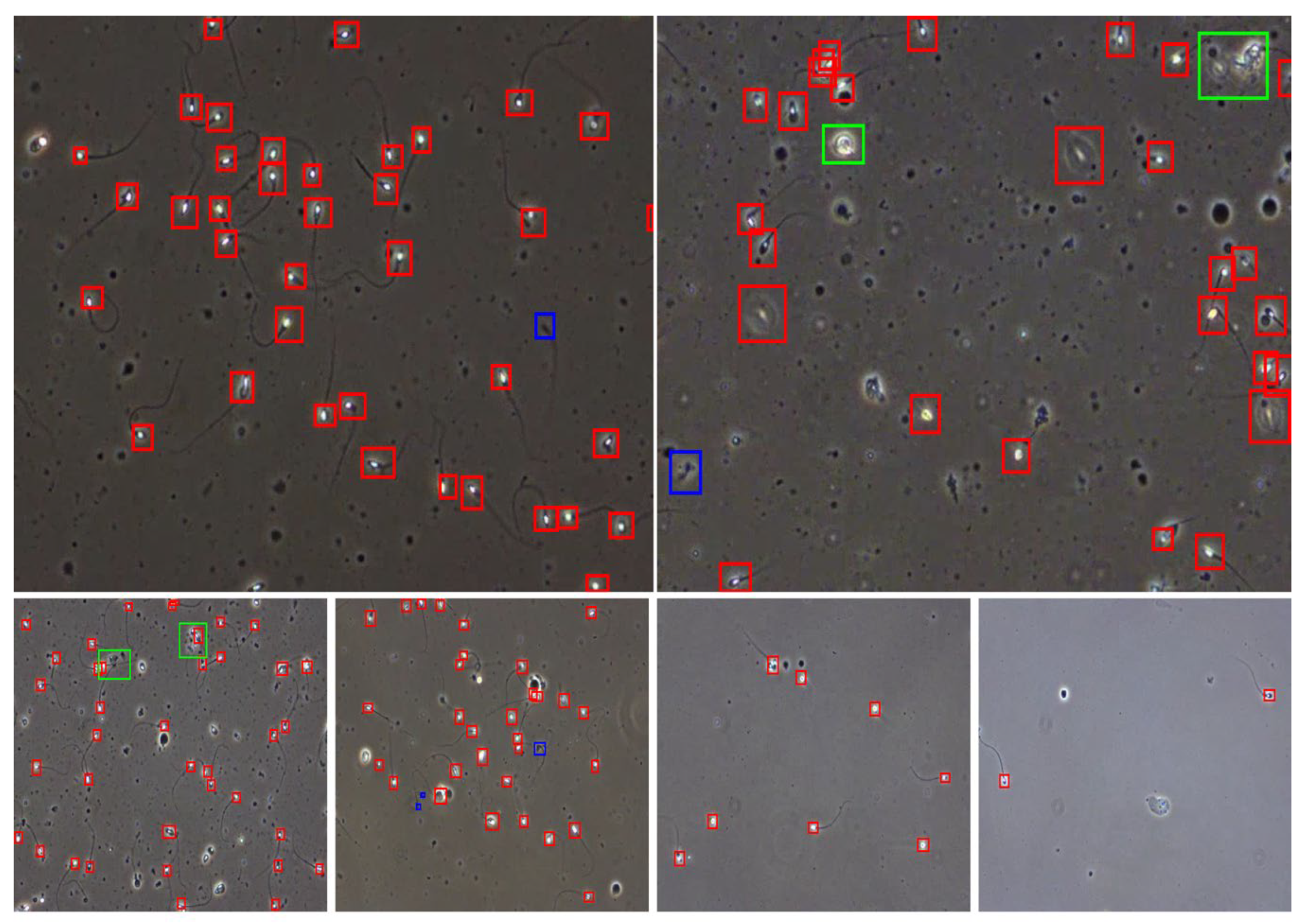 Computation 13 00132 g004