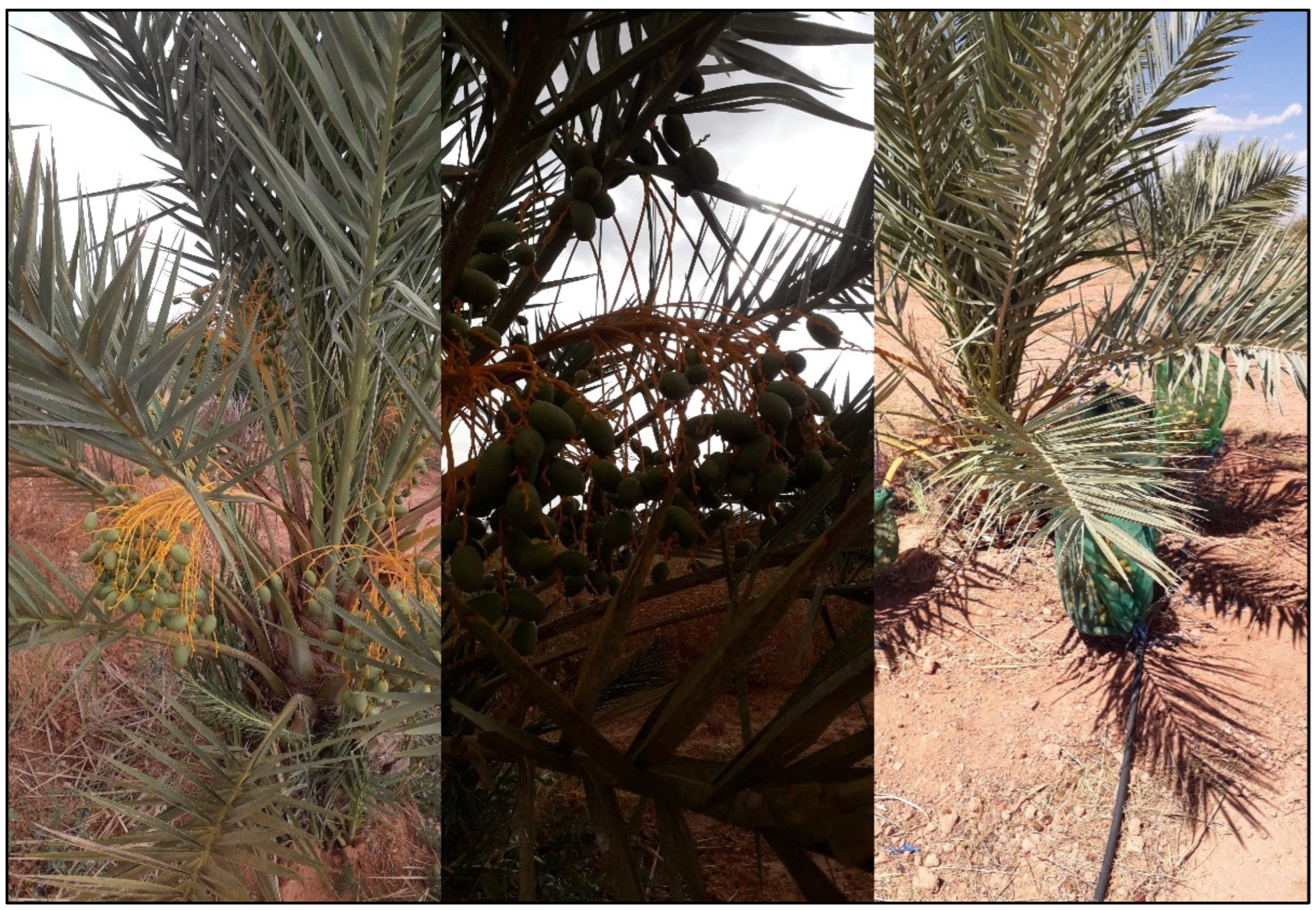 Computation 13 00149 g001