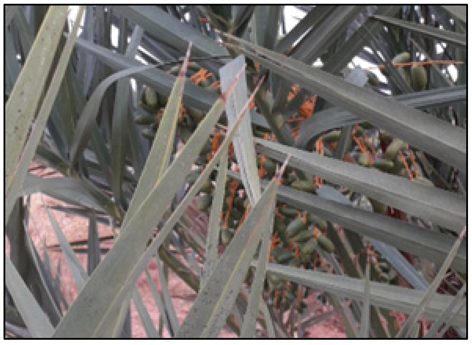 Computation 13 00149 g002