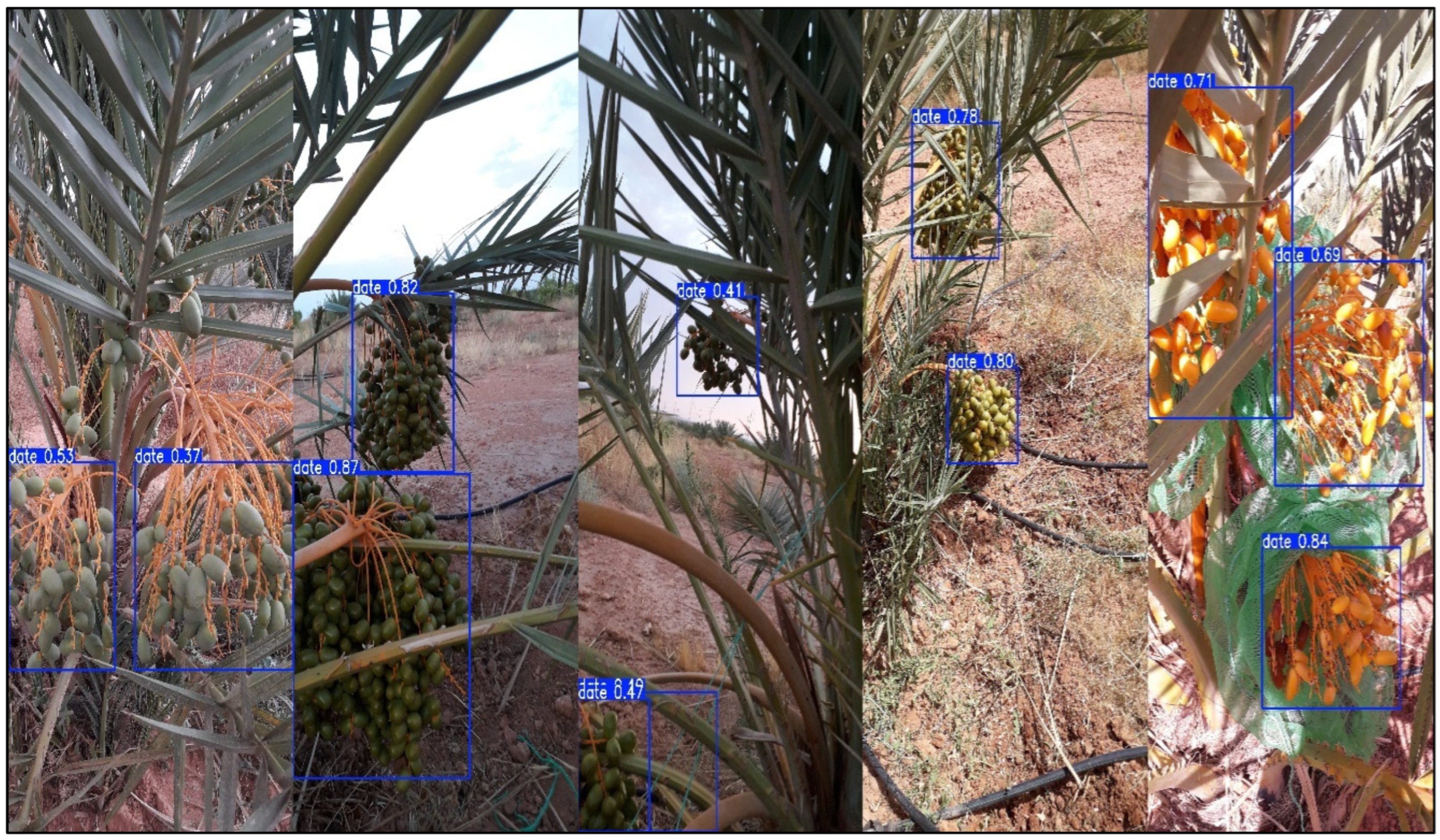 Computation 13 00149 g003