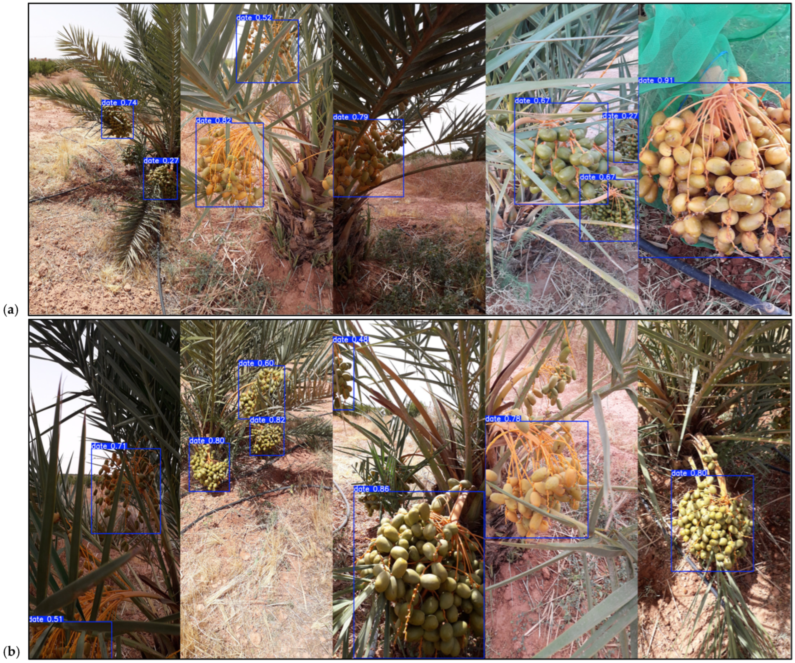 Computation 13 00149 g004