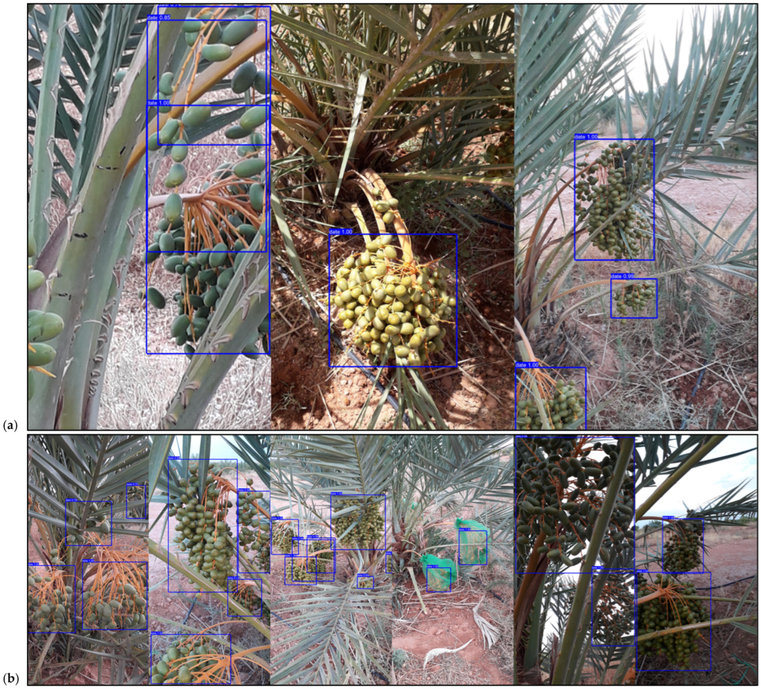 Computation 13 00149 g005