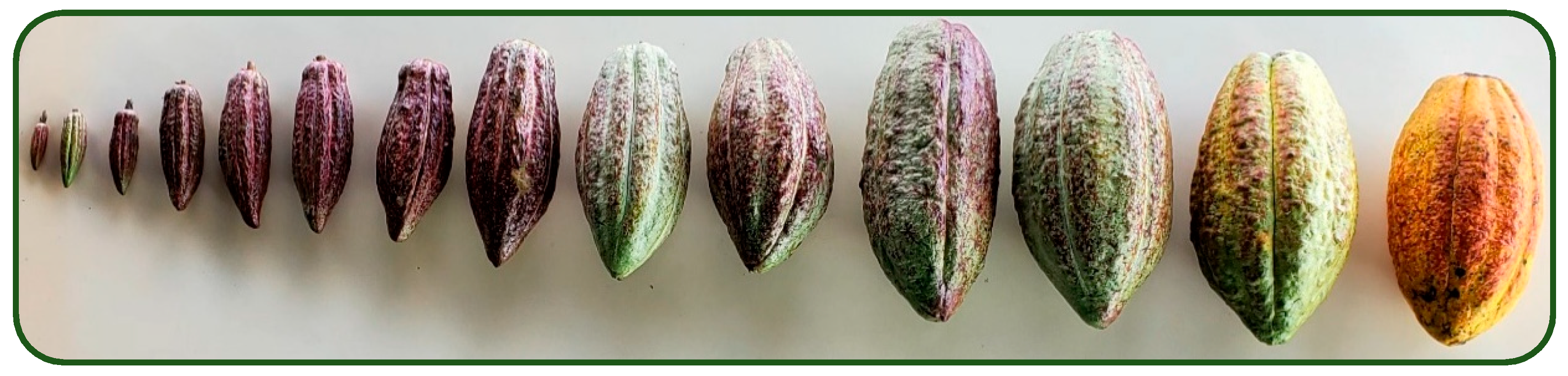 Computation 13 00159 g001